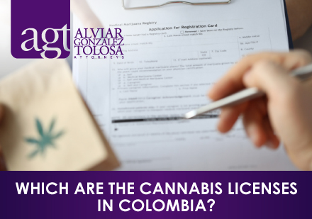 Cannabis License Application in Colombia