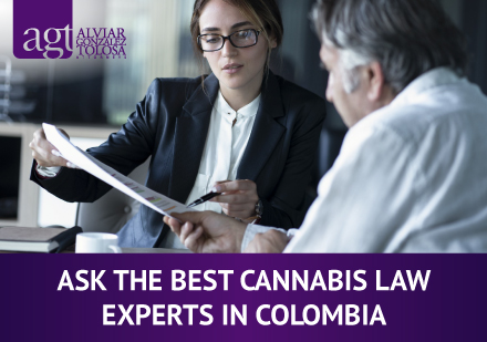 Cannabis Experts in Colombia